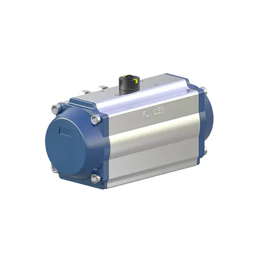 FN-C Series Pneumatic Actuator
