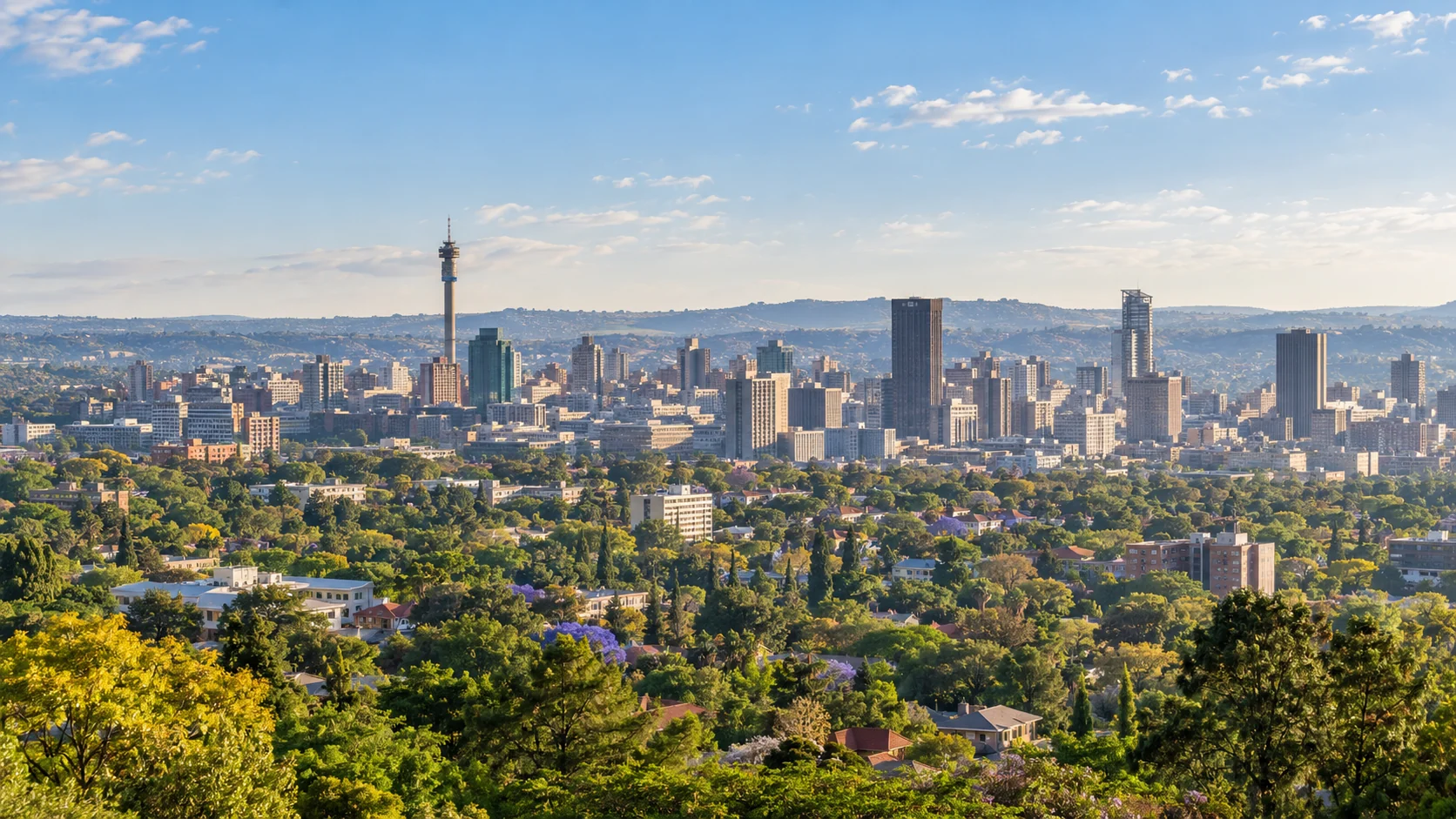 Johannesburg city and landscape in South Africa